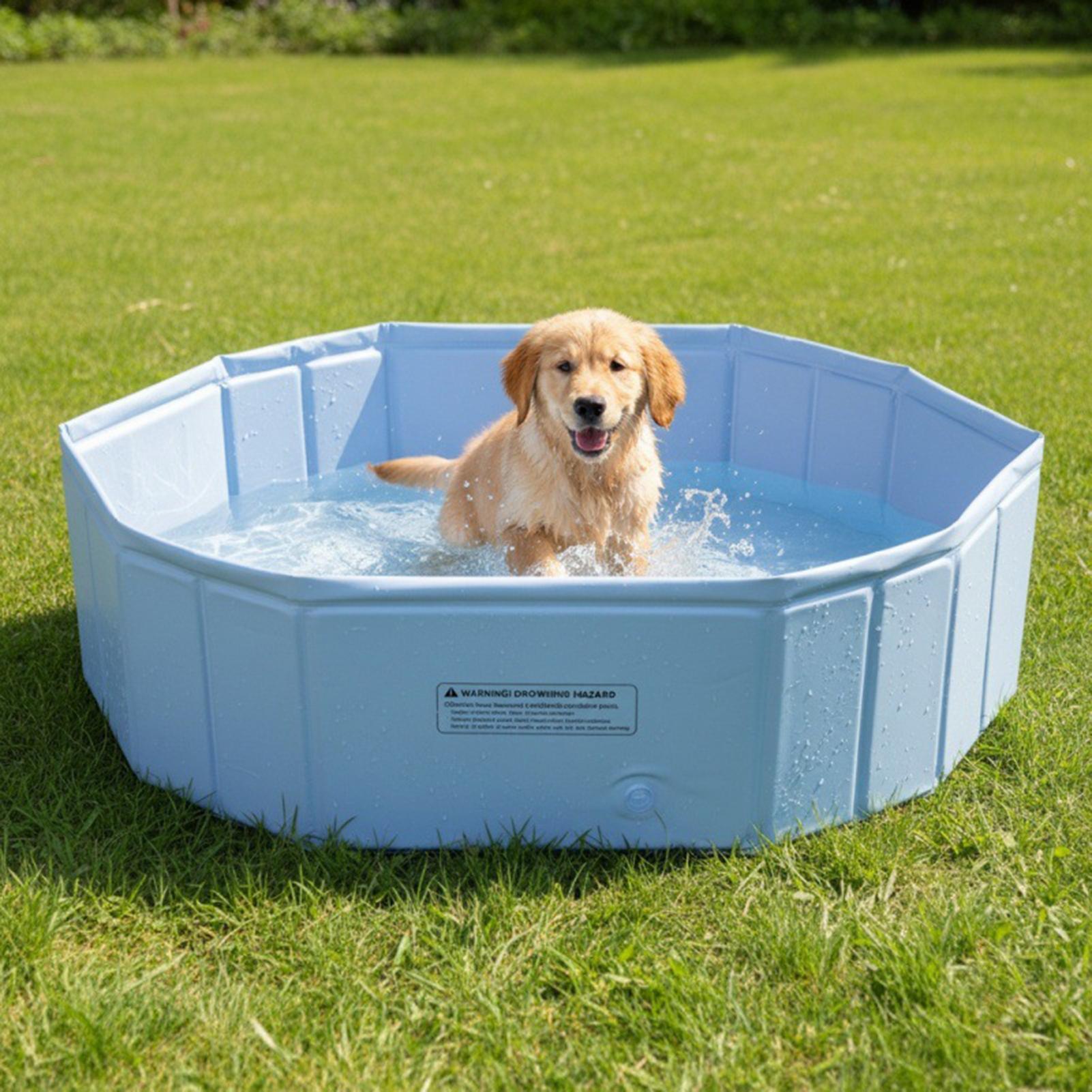Piscina Pieghevole per Animali - Party Games Kids Outdoor recensione e prezzo